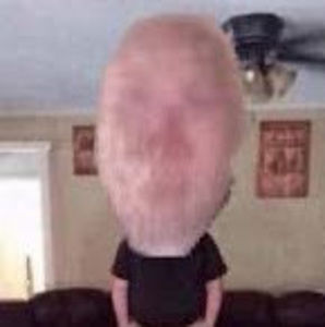 Meet your Posher, Reid